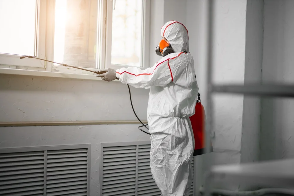 Professional mold remediation services in West Bend, WI